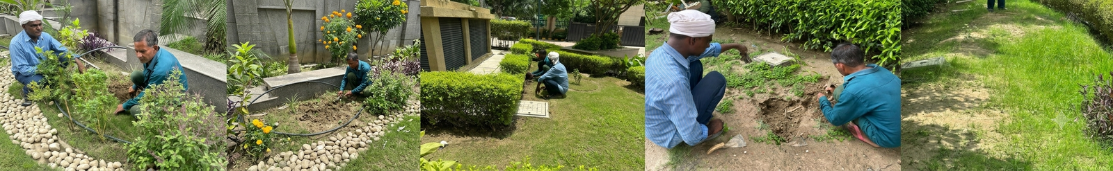 Plantation